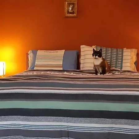 Margherita Oda ve Kahvaltı Lesa