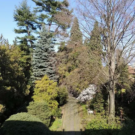 Oda ve Kahvaltı Margherita 3*