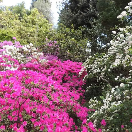 Margherita Oda ve Kahvaltı