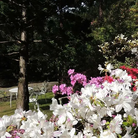 Margherita Bed & Breakfast 3*