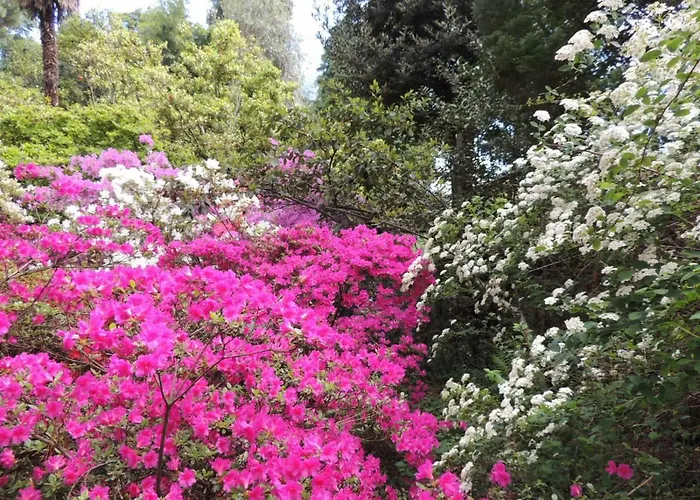 Margherita Bed & Breakfast