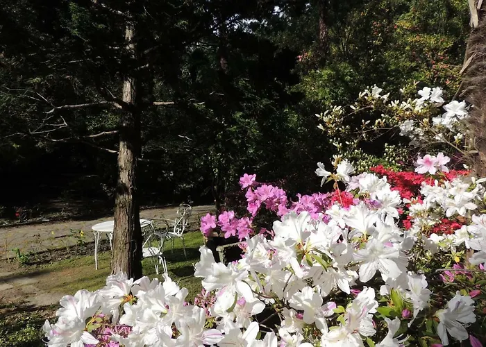 Margherita Bed & Breakfast 3*